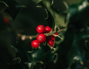 Q. 신설된 결혼세액공제가 2025년 초에 제출 예정인 2024년 연말정산분부터 적용이 가능한지 궁금합니다.A. 결혼세액공제의 경우 기획재정부에서 2024.7.25. 발표한 세법개정안에 포함되어 있으며 2024.12.10. 확정되었습니다. 2024~2026년 혼인신고분이 공제대상에 해당하는 것으로 이번 2024년 귀속 연말정산시 공제가 가능할 것으로 판단됩니다.아직 법령개정이 이루어 진 것은 아니므로 세부적인 사항(제출서류 등)을 알 수는 없으나 혼인일자를 알 수 있는 서류를 제출하시면 될 것으로 보여집니다.관련규정 : 조세특례제한법 (정부확정안, 2024.9.6)&nbsp;